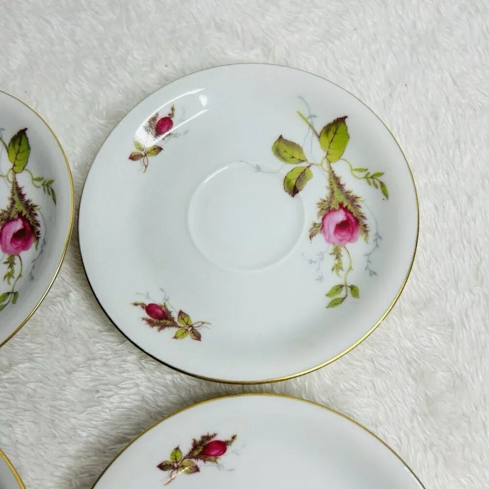 Eschenbach Bavaria Germany Moss Rose Demitasse Teacup Saucers Cream and Sugar